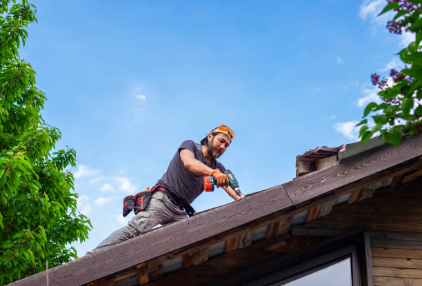 Best Skylight Installation and Repair  in Bellefontaine Neighbors, MO